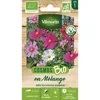 Image de Vilmorin - Cosmos Mix Bio