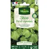 Image de Shiso Vert - Cuisine Du Monde Vilmorin