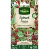 Image de Epinard Fraise - Légumes D'Autrefois Vilmorin