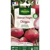 Image de Betterave Potagère Chioggia - Cuisine Du Monde Vilmorin