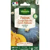 Image de Potiron (courge Kabocha) Green Hokkaido - Cuisine Du Monde Vilmorin