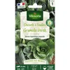 Image de Chicorée À Feuilles Grumolo Verde - Cuisine Du Monde Vilmorin