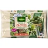 Image de Terre À Cactées - 5 L Vilmorin