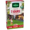 Image de Gazon 7 Jours - 250 G Vilmorin