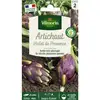 Image de Artichaut Violet De Provence Vilmorin