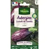 Image de Aubergine Listada De Gandia - Cuisine Du Monde Vilmorin