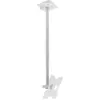 Image de Support plafond inclinable/orientable pour écrans de 19 à 32 - Erard - 002405 - ceiling bracket swivel & tilt