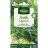 Image de Aneth Officinal Vilmorin