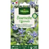 Image de Bourrache Officinale Vilmorin