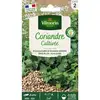 Image de Coriandre Cultivée Vilmorin