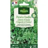 Image de Persil Gigante D'Italie (géant D'Italie) Vilmorin