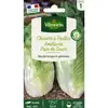 Image de Chicorée À Feuilles Améliorée Pain De Sucre Vilmorin