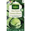 Image de Chou Blanc Quintal D'Alsace Vilmorin