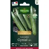 Image de Concombre Gynial Hf1 - Sdj - Graines D'Exception Vilmorin
