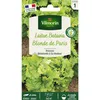 Image de Laitue Batavia Blonde De Paris Vilmorin