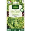 Image de Laitue Pommée Grosse Blonde Paresseuse Vilmorin
