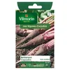 Image de Sachet Graines Betterave Rouge Crapaudine