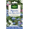 Image de Myosotis Des Alpes Varié Vilmorin