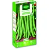 Image de Haricot Nain Vert Contender Vilmorin