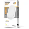 Image de Hublot Ovale Ip54 Leds 4000k - 14w -980lm Dimension 21010542