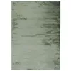 Image de Thedecofactory - Flanelle - Tapis Salon Extra-doux Effet Velours Vert Clair 120x170