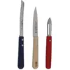 Image de Coffret 3 couteaux de cuisine - Jean Dubost - CB10A250HC2364 -