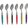 Image de Coffret de 6 cuillères de table - Jean Dubost - LOO60251TON - laguiole tonic mix