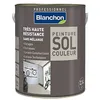 Image de Blanchon - Peinture Sol 2,5l Couleur Gris Clair Aspect Satiné