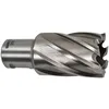 Image de Fraises Pour Perceuse Magnétique Makita Hb500 (longueur 30mm)