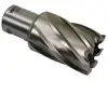 Image de Fraises Pour Perceuse Magnétique Makita Hb500 (longueur 30mm)