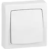 Image de Interrupteur va-et-vient apparent Legrand Oteo 10 A IP31, blanc ultra, avec bornes à vis, 1 pièce.