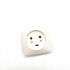 Image de Legrand Prise de terre 20A Plaque 80x80mm 2 alvéoles Cable Electrical