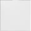 Image de Obturateur Mosaic blanc - 2 modules