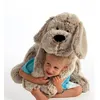 Image de GIPSY Dog Flatoutou 50 cm Grau