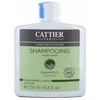 Image de Cattier Paris Cattier Champu Cuero Cabell Graso 250ml