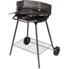 Image de Barbecue Athenes 52 X 37 - Somagic