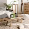 Image de SANDY - Table basse ovale marron bois Pin recyclé