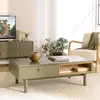 Image de ETHAN - Table basse verte 2 tiroirs et 2 niches en bois naturel ETHAN