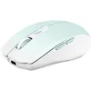 Image de Souris T'NB GRADIENT bleue 1600 dpi
