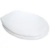 Image de Abattant WC thermodur RD'2 à charnière inox - OLFA - 7RD9001D
