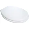Image de Tissot Pro - Abattant Wc Thermodur Rd'2 À Charnière Inox - Olfa - 7rd9001d