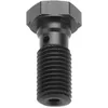 Image de Vis Hydraulique Trw Zf Pour Conduites De Frein M10x1,25 Noire