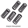 Image de Ressorts D'Embrayage Trw Zf Pour Ducati Monster Evo 1100 '11-'13, Panigale 1199 '12-'14, Diavel 1200 '11-'16, Monster 1200 '14-, Multistrada 1200s '16-'17, Diavel/multistrada 1260 '18-,