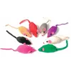 Image de Zolux 8 Medium Souris [480413]