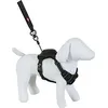 Image de Harnais pour chien avec laisse EASY RIDE noir L Zolux