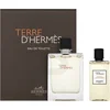 Image de Hermes Terre D'Hermes Set Eau de Toilette, 100ml + Gel Douche 80ml
