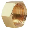 Image de Bouchon Laiton Tête 6 Pans Brut À Visser - F 12x17