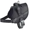 Image de Chadog - Harnais Easy Safe Noir Taille : M