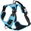 Image de Bobby Rando Walk   Harnais pour chien, harnais pour chiens de petite, moyenne et grande taille