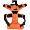 Image de Pettorina Rando Walk 53-82x2,5 Cm Xl Blu: Pettorina Rando Per Gatti Modello Walk